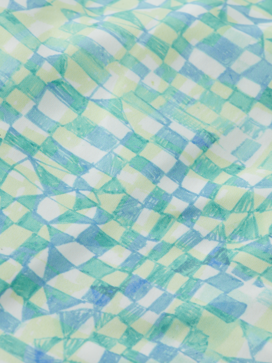 Printed Swim Shorts