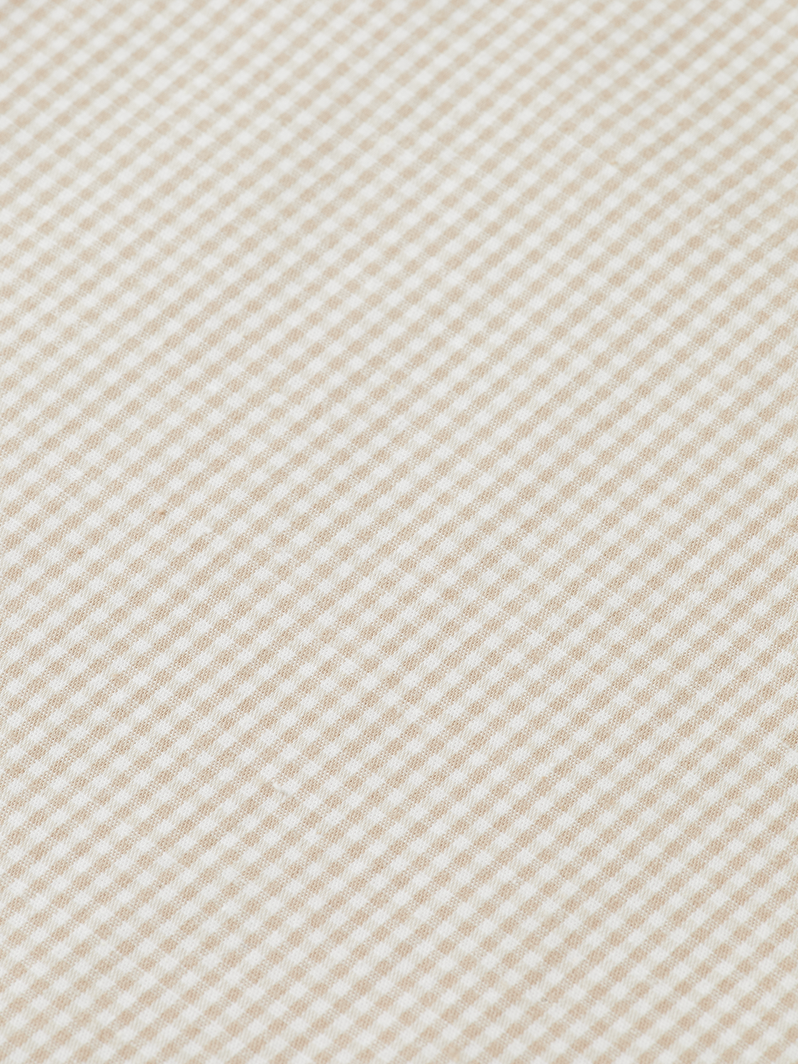 Micro-check poplin shirt