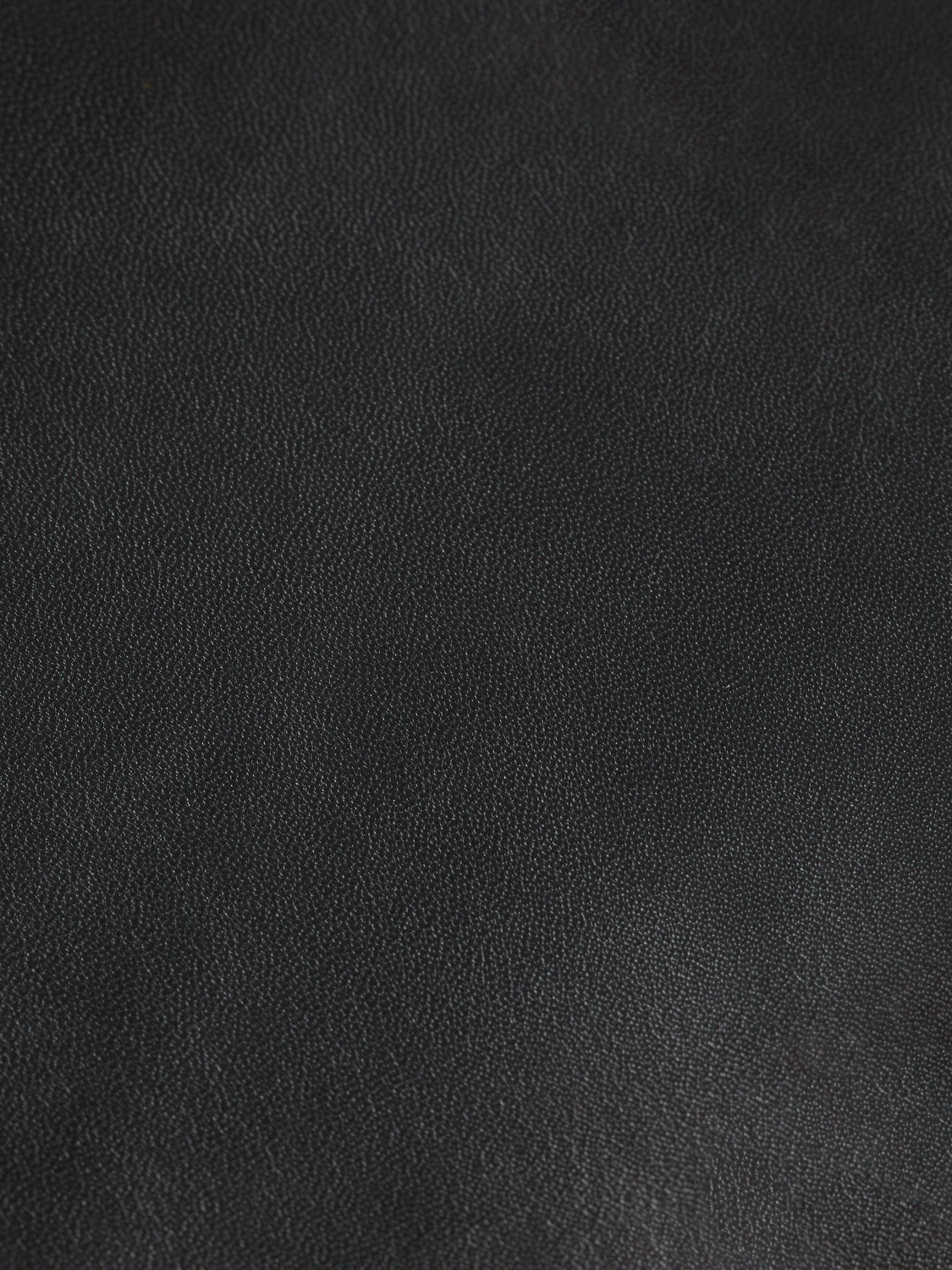 ROBYN NAPPA LEATHER PANT