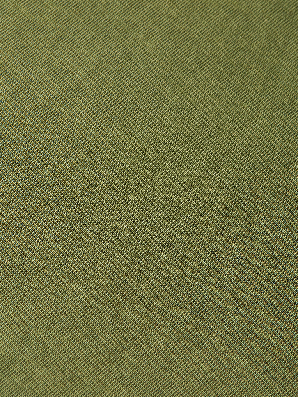 Seasonal Essentials Raw Edge Relaxed T-shirt