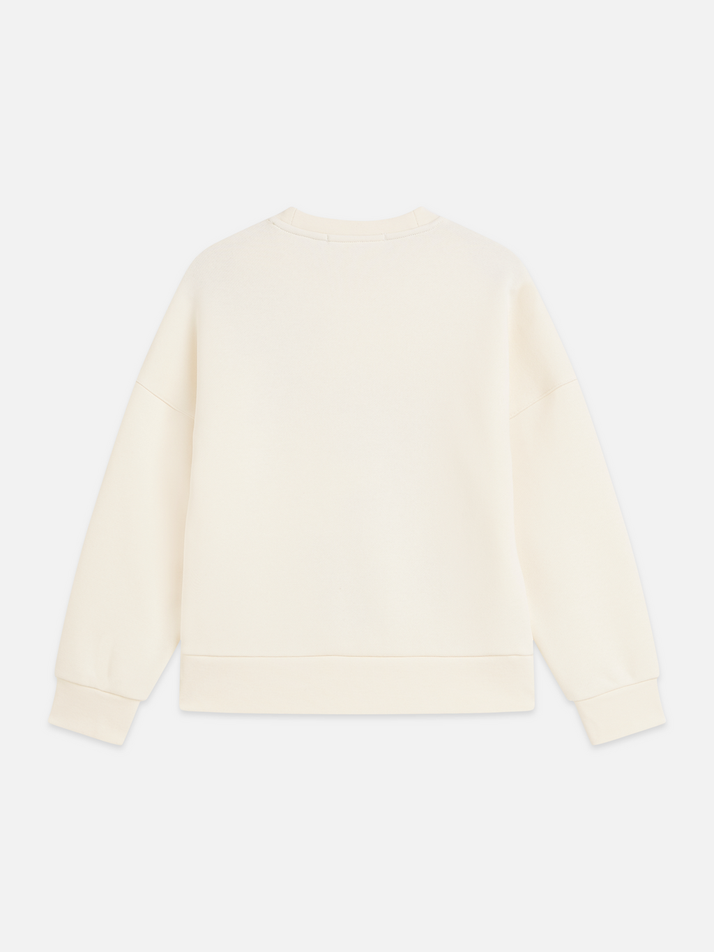 Placed embroidered relaxed sweatshirt