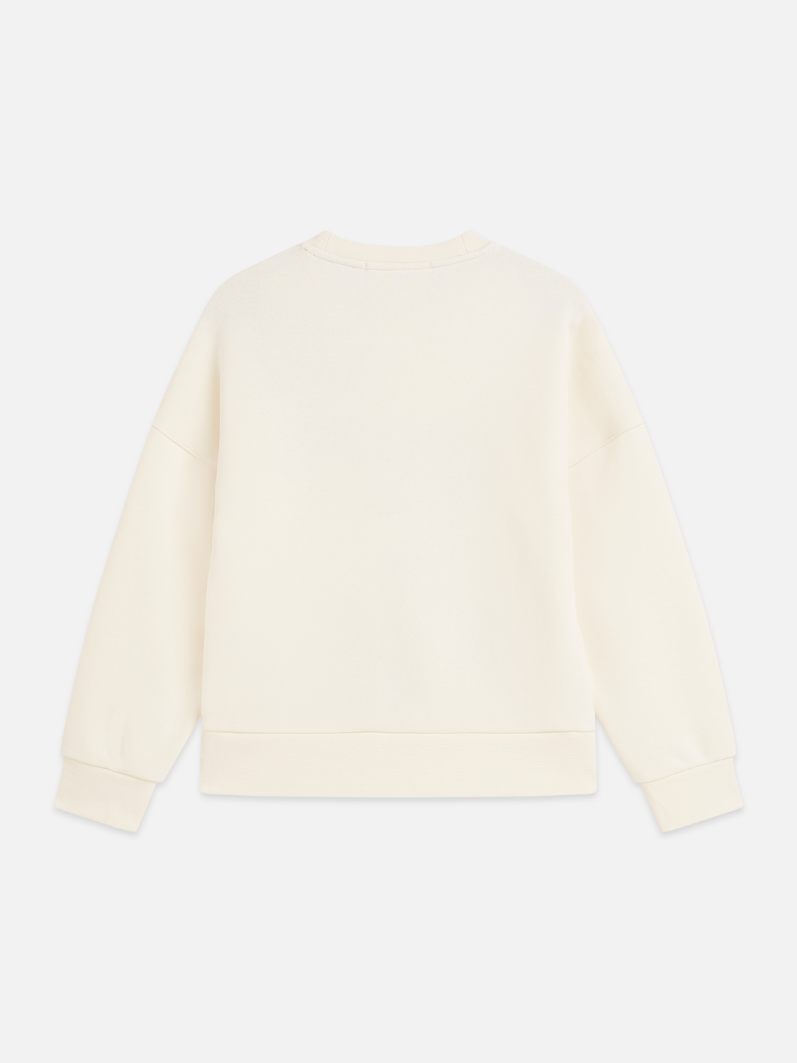 Placed embroidered relaxed sweatshirt