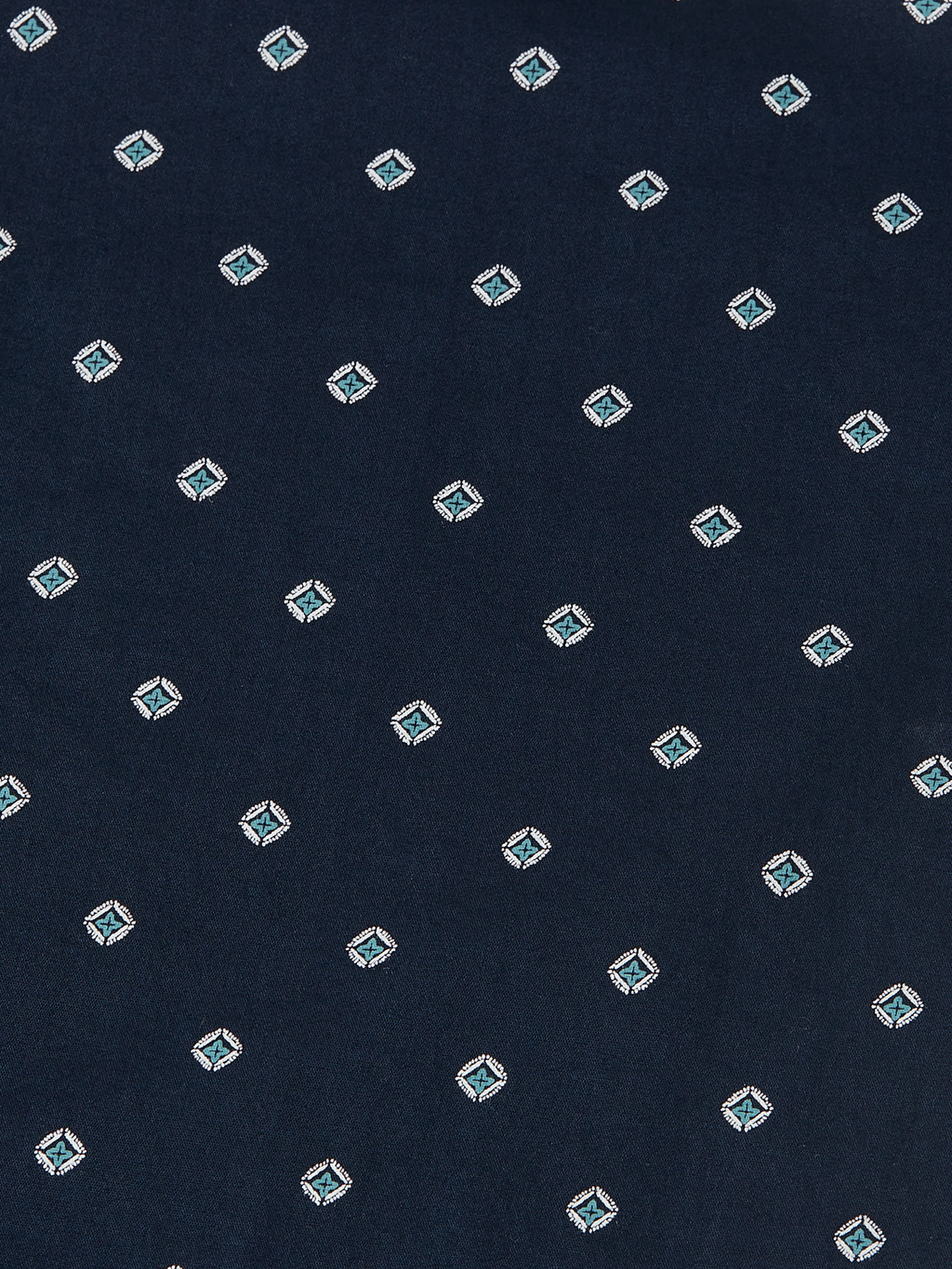 Printed cotton poplin shirt