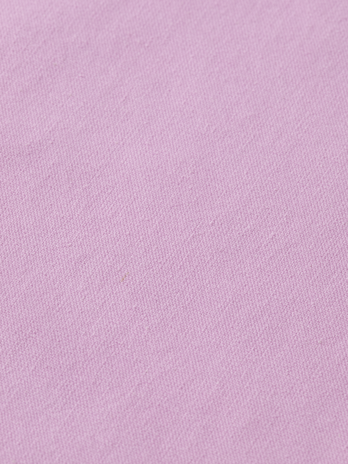 Ezra high-rise wide-leg belted pant