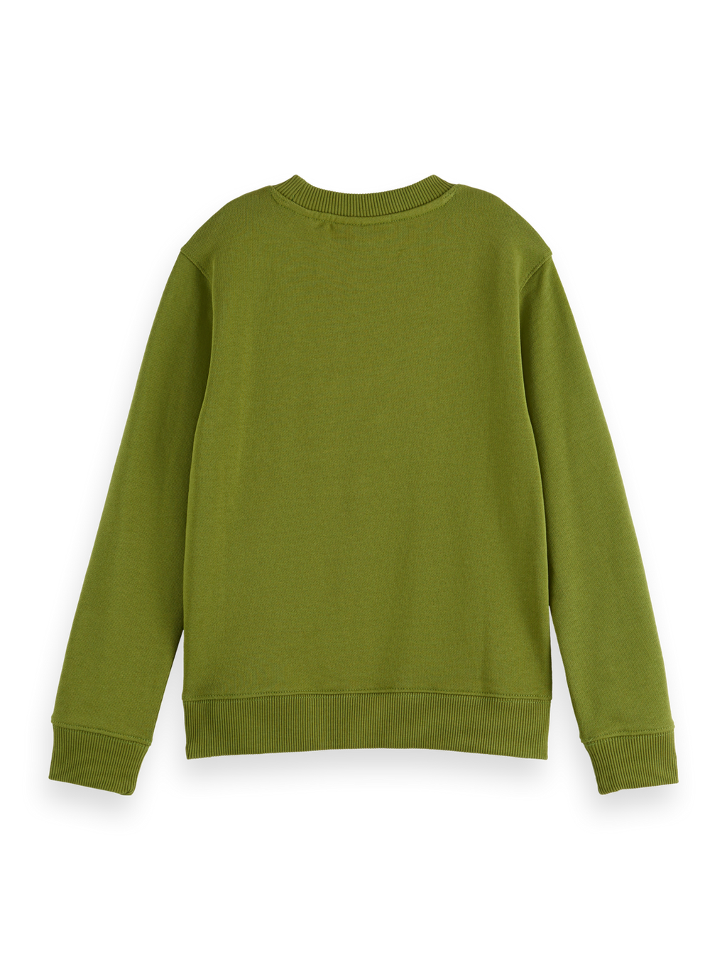 Boys Regular artwork sweatshirt