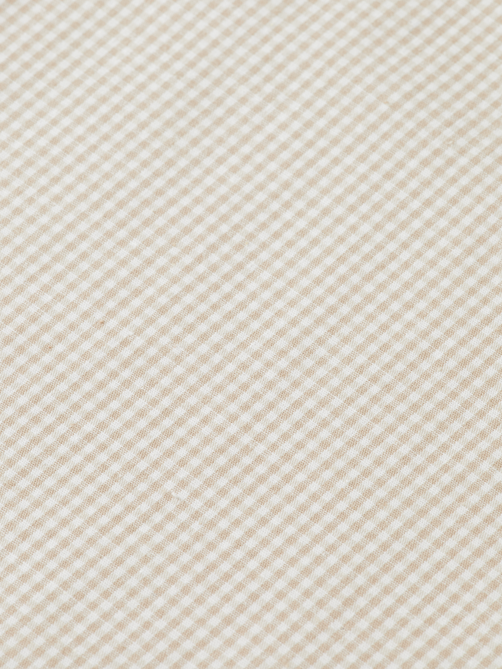 check poplin shirt