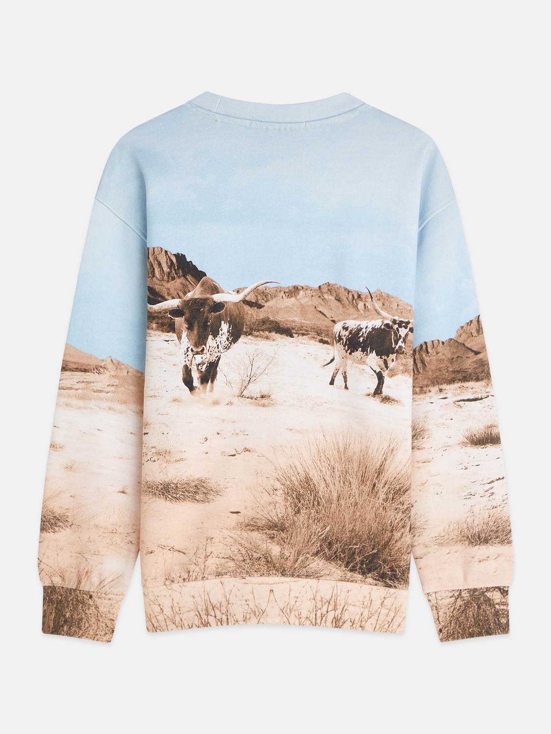 Boys desert print artwork relaxed sweatshirt