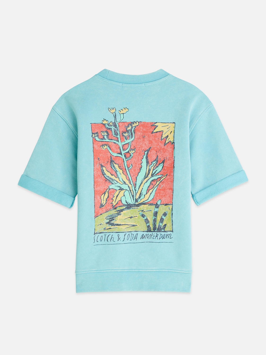 Boys artwork short sleeve washed sweatshirt