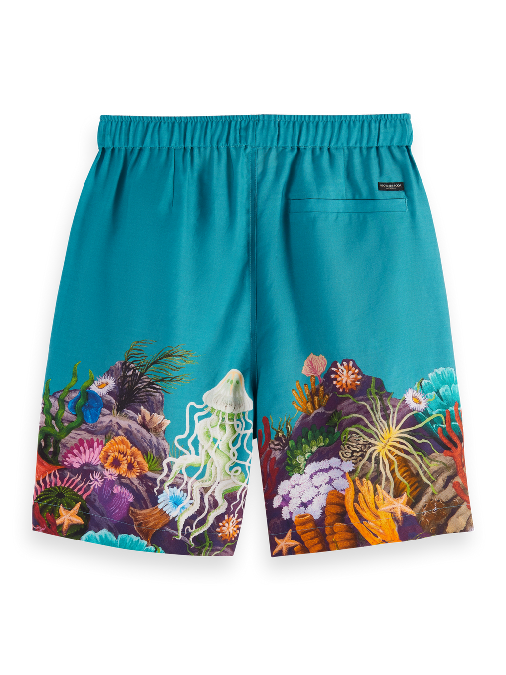 SEASONAL- PLACEMENT- PRINTED BERMUDA