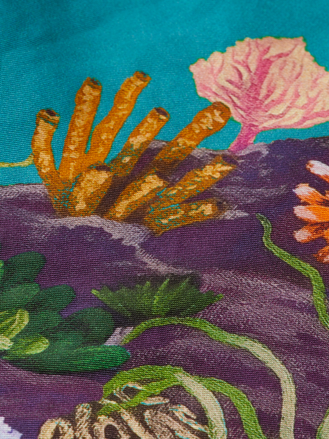 SEASONAL- PLACEMENT- PRINTED BERMUDA