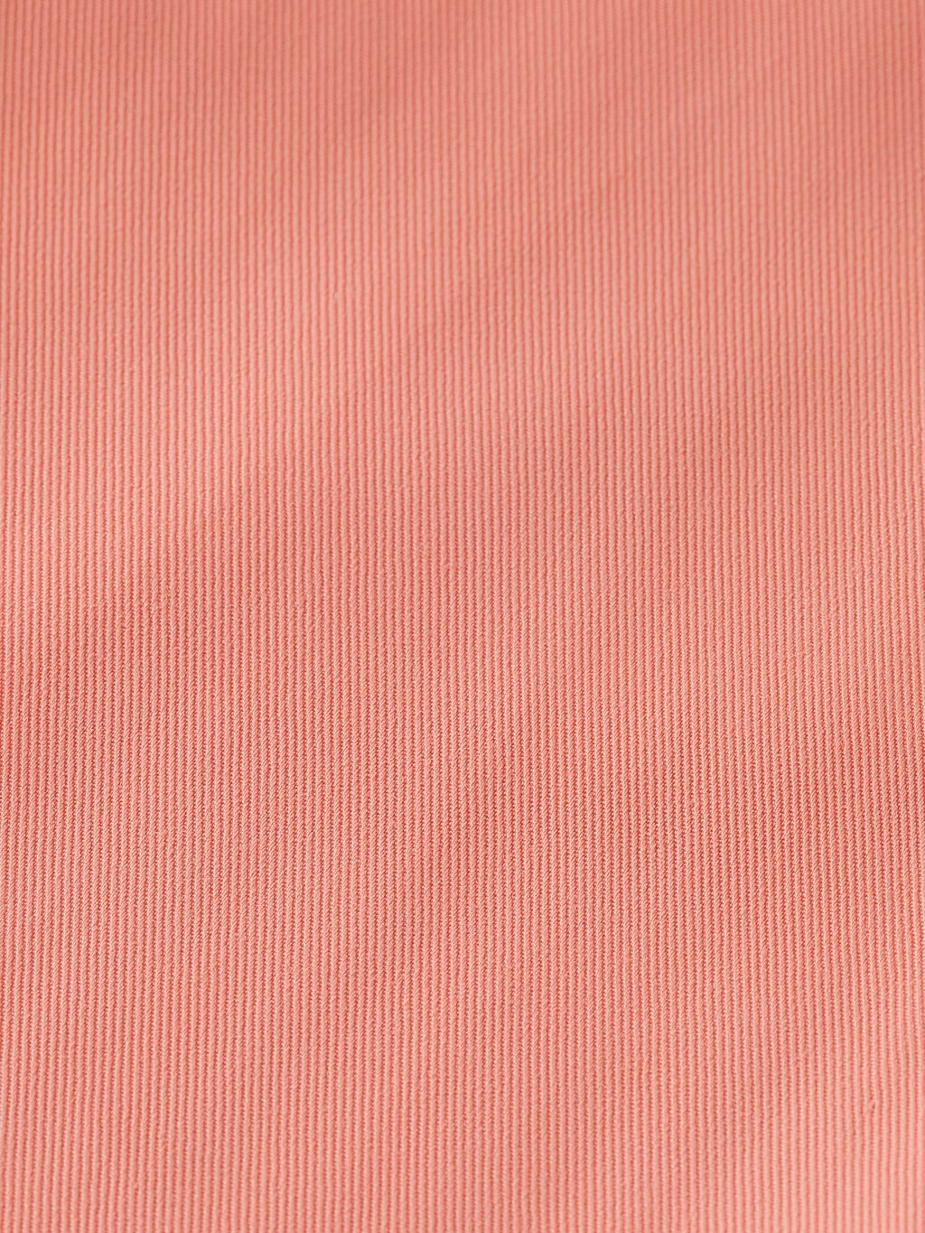 ROSE - HIGH RISE TAILORED PANT