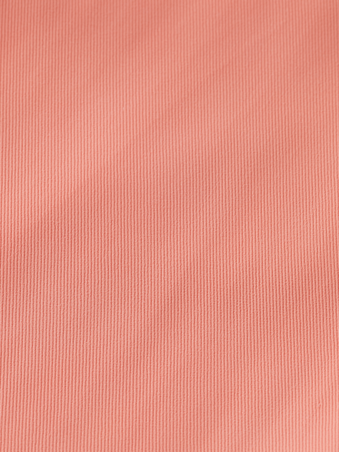 ROSE - HIGH RISE TAILORED PANT
