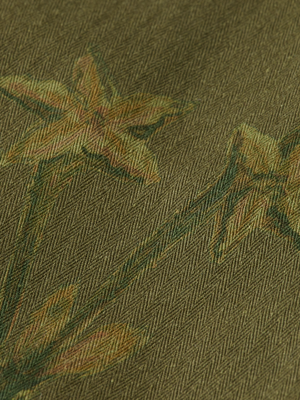 Daze cargo pants
