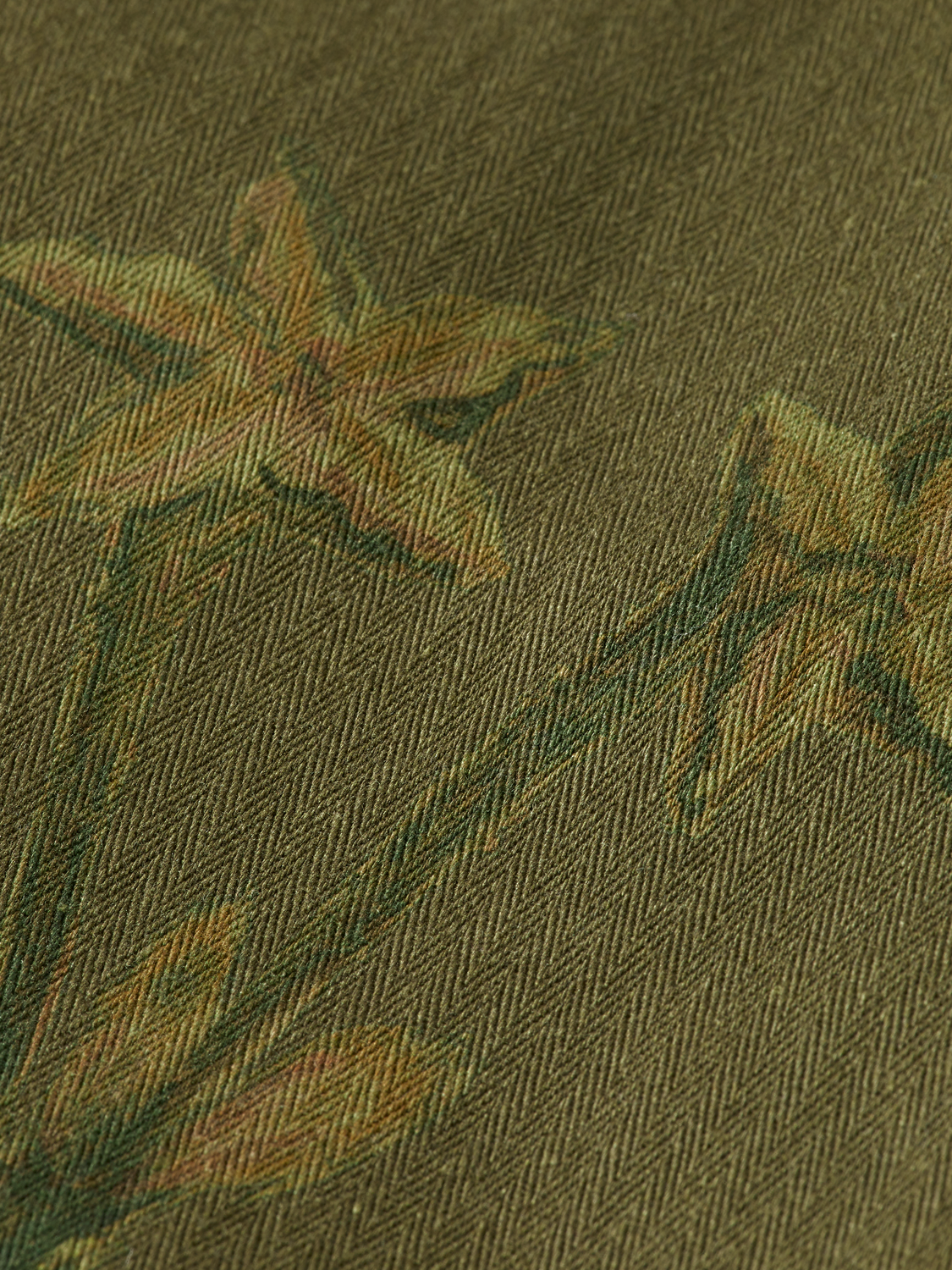 Daze cargo pants