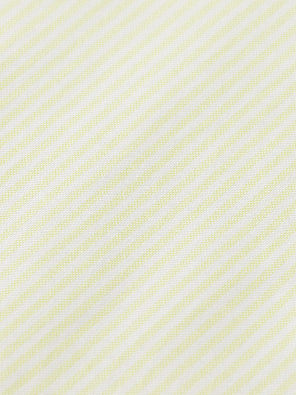 regular stripe oxford shirt