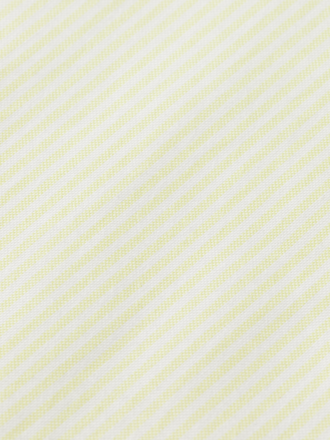 regular stripe oxford shirt