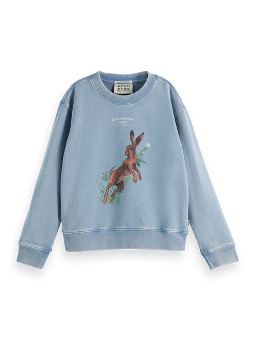 Loose-fit garment-washed crewneck with front artwork