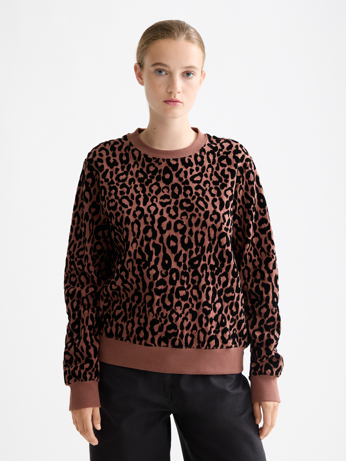 Flock artwork regular sweatshirt