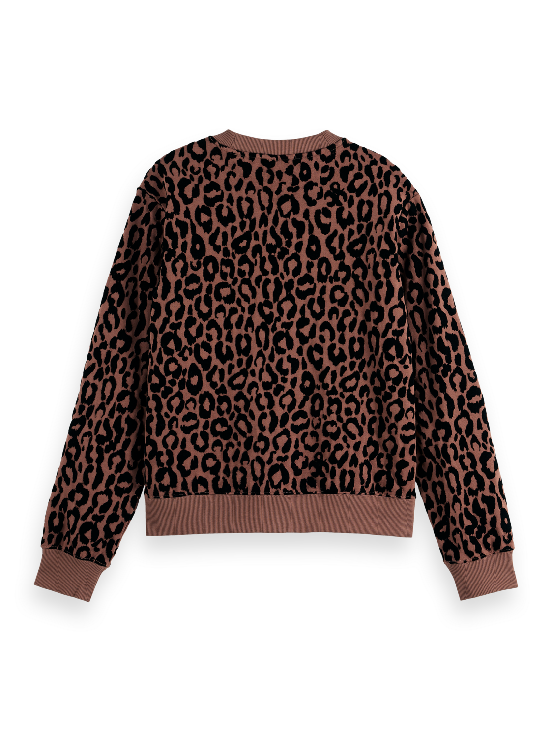 Flock artwork regular sweatshirt