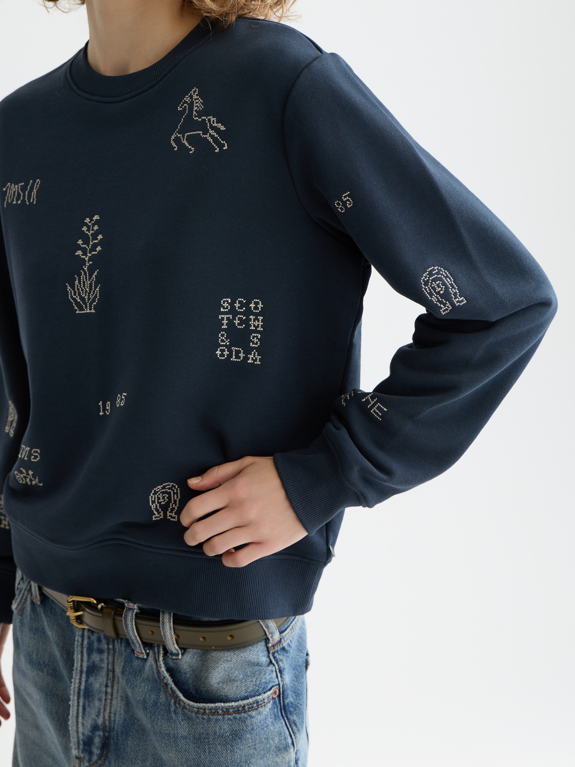 Embroidered regular fit sweatshirt