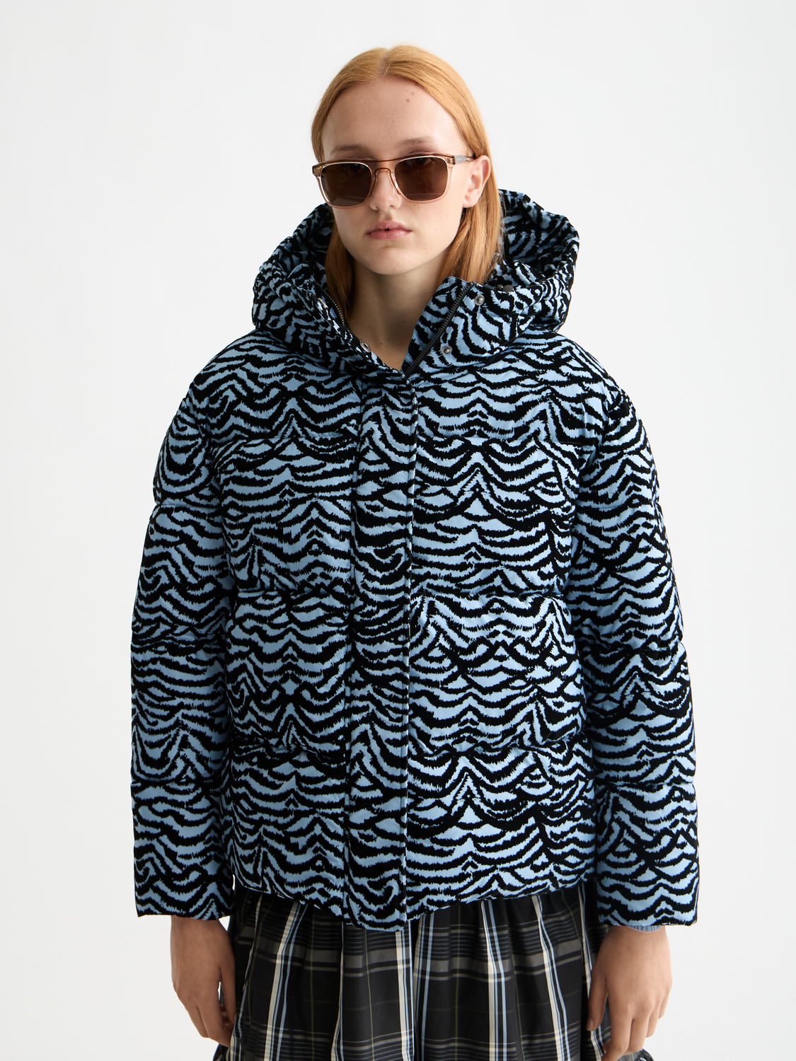 Hooded puffer