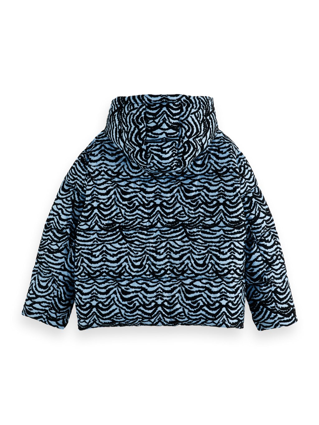 Hooded puffer