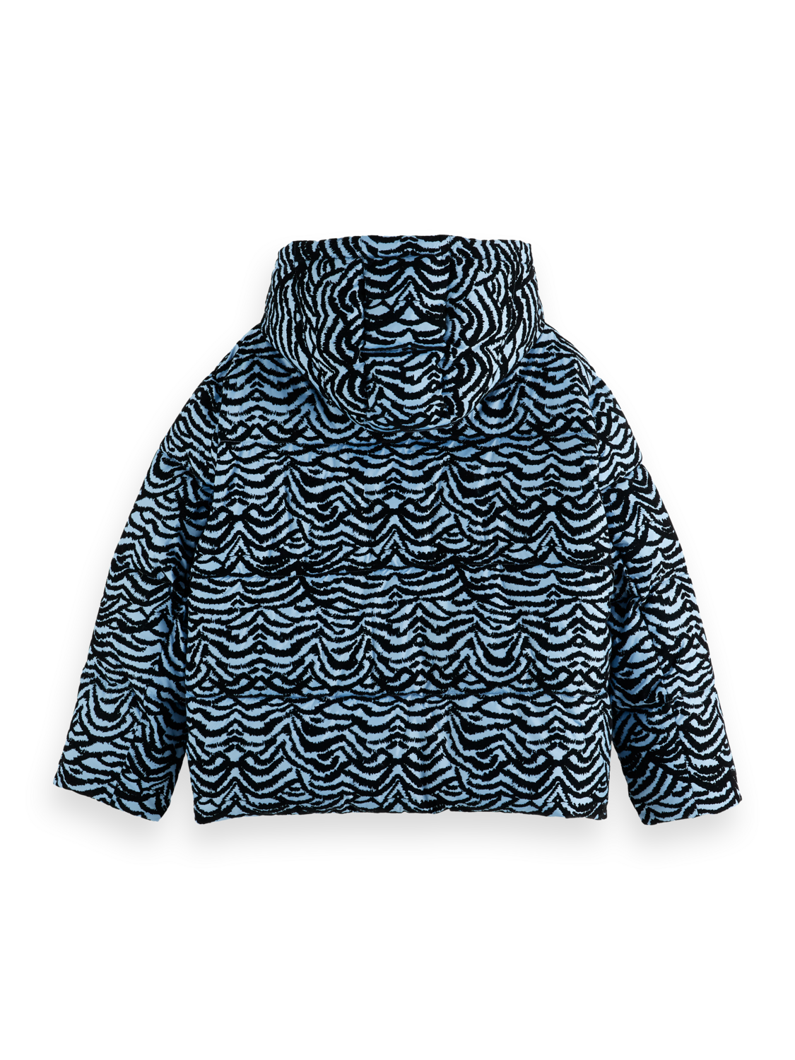 Hooded puffer