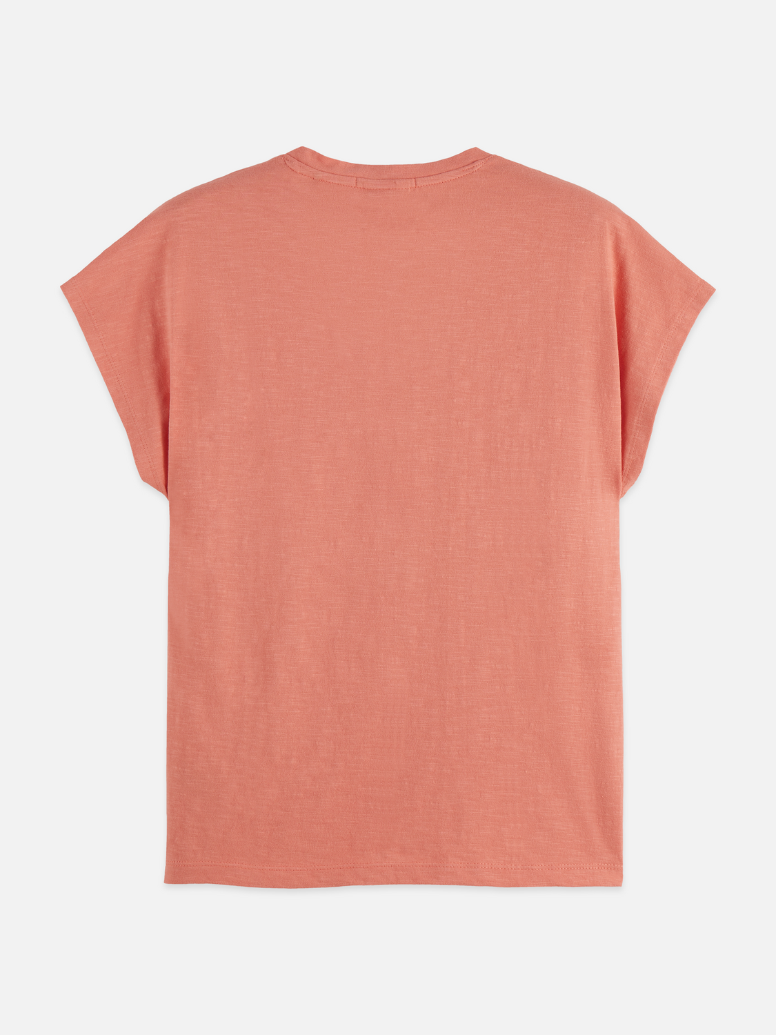 V-neck logo embroidery t-shirt - CANYON CLAY