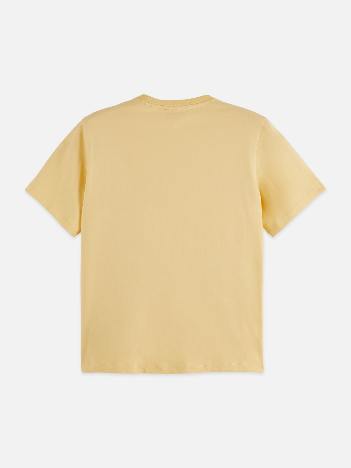 Artwork Regular T-shirt - PARSNIP