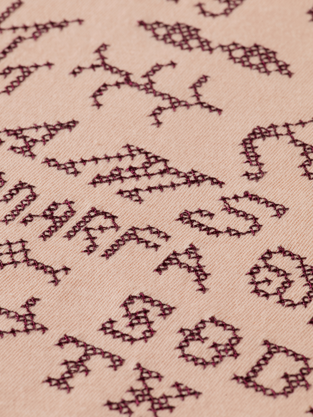 Embroidered ringer T-shirt