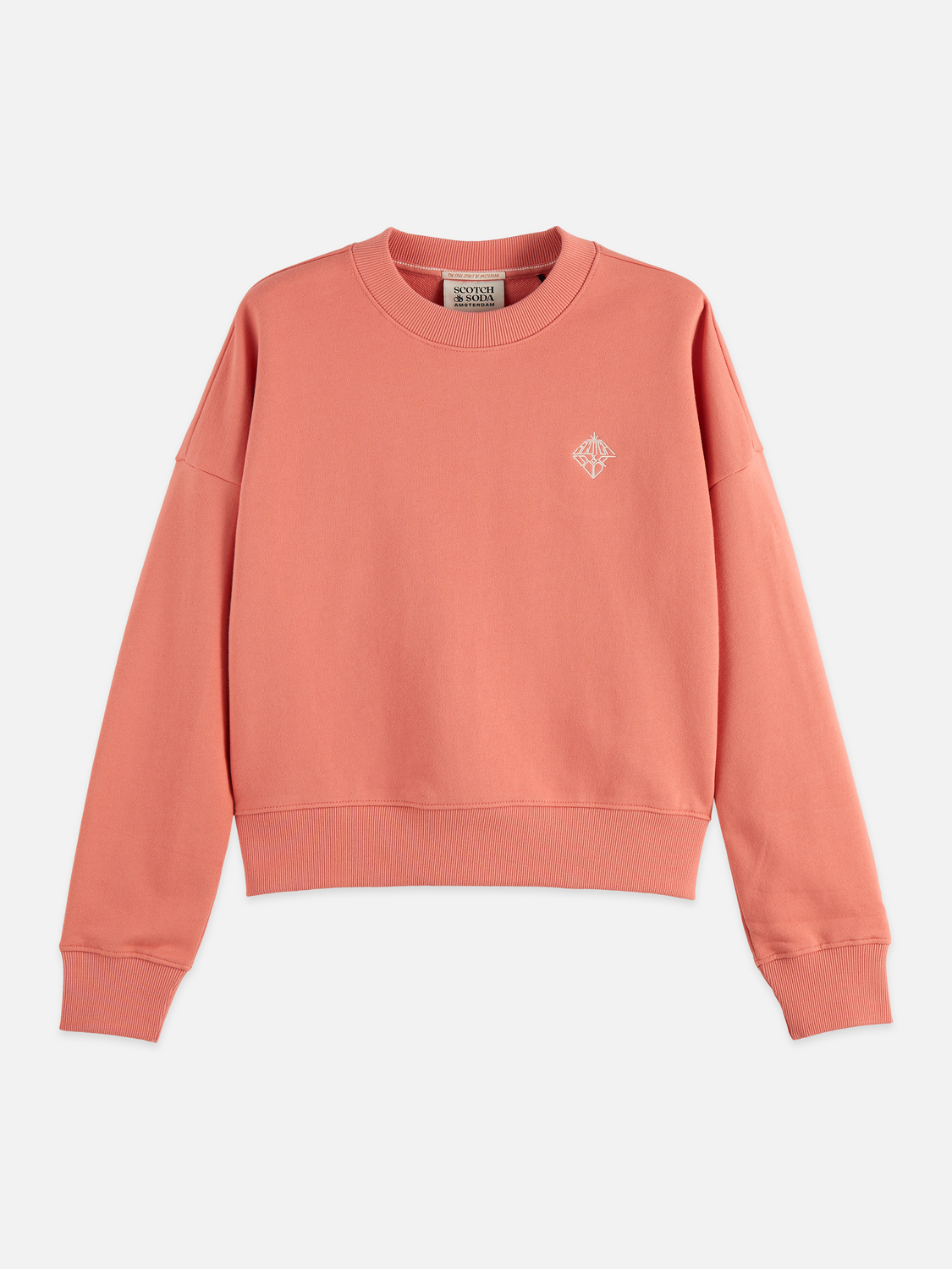 Embroidered logo relaxed sweatshirt - CANYON CLAY