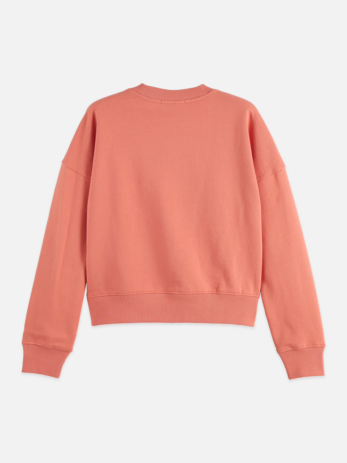 Embroidered logo relaxed sweatshirt - CANYON CLAY