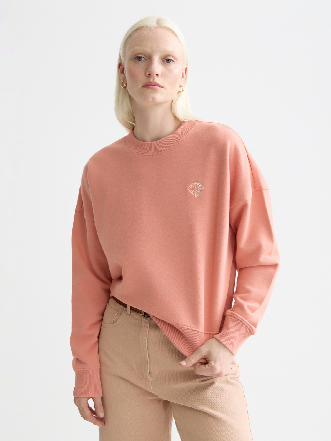 Embroidered logo relaxed sweatshirt - CANYON CLAY