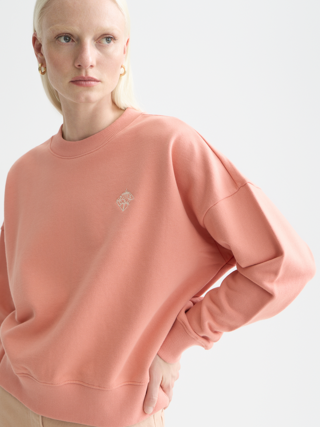 Embroidered logo relaxed sweatshirt - CANYON CLAY