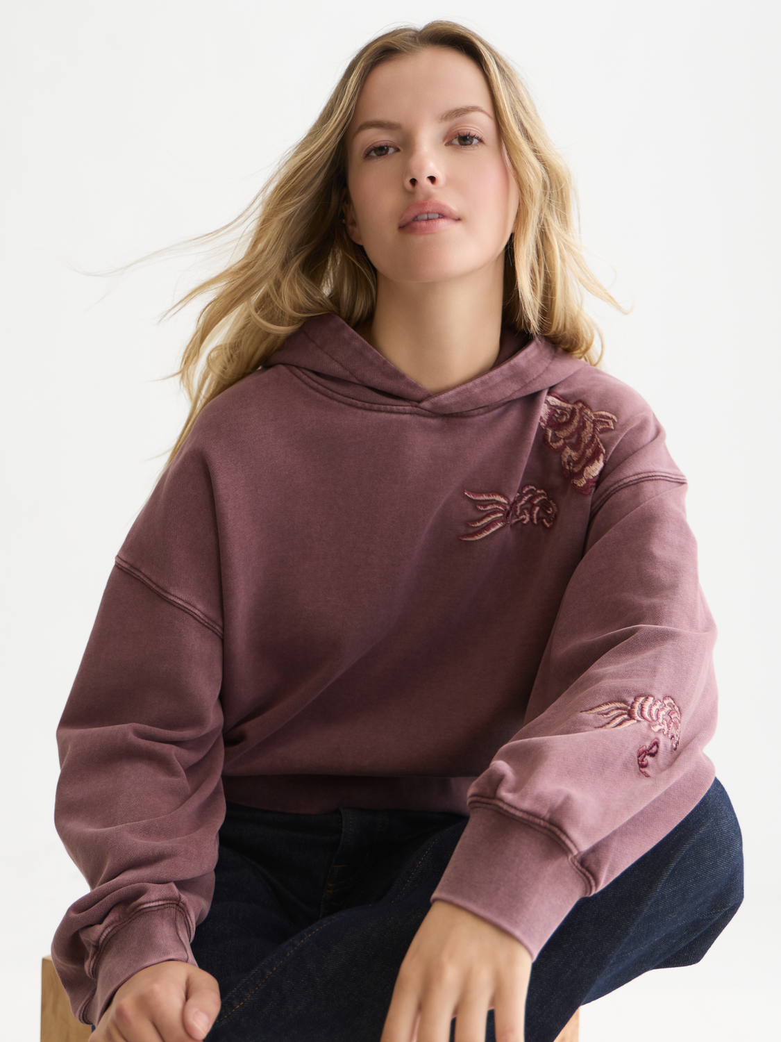 Embroidered Washed Cotton Relaxed Hoodie