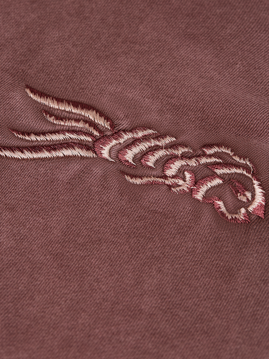 Embroidered Washed Cotton Relaxed Hoodie