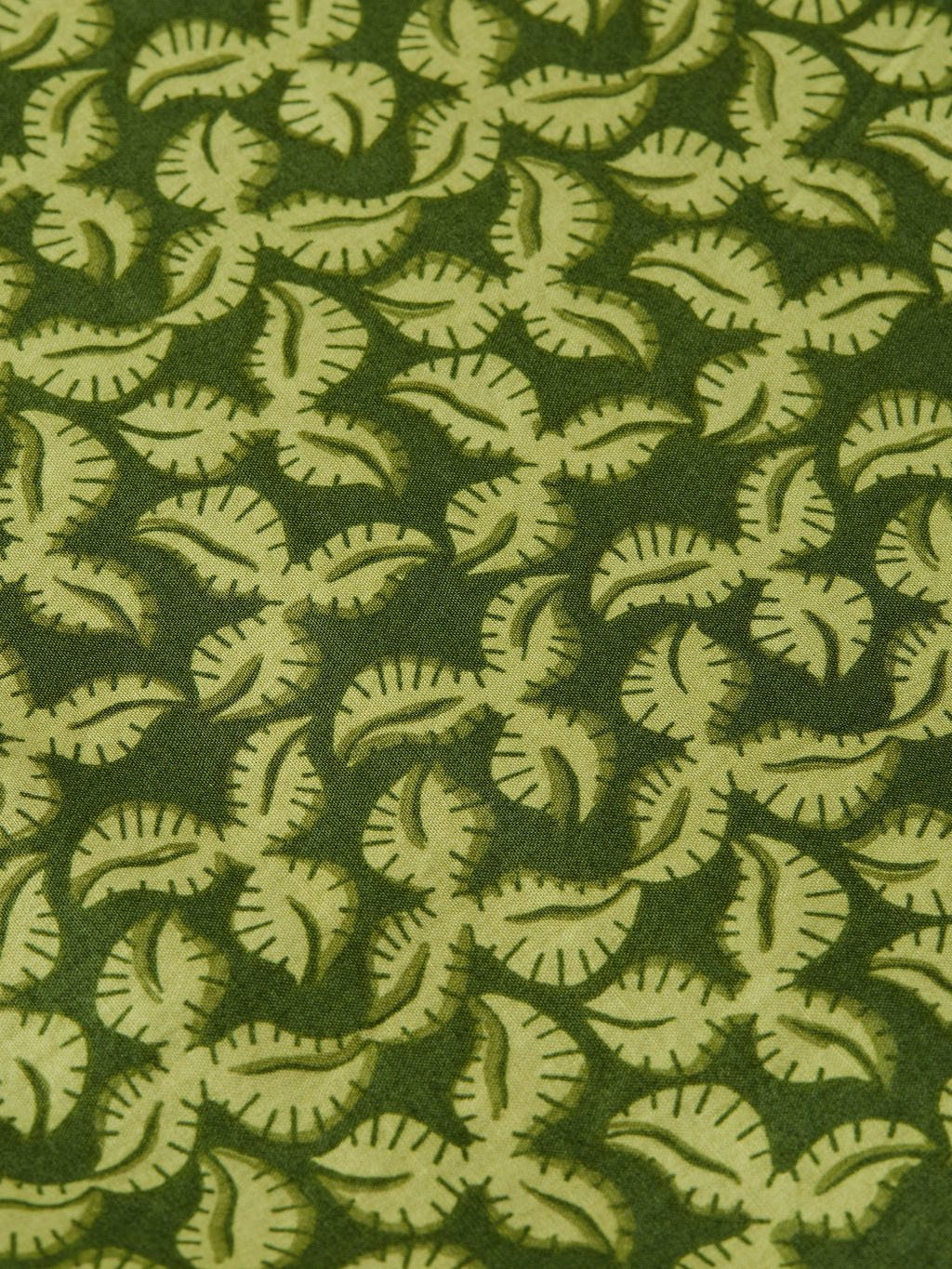 Printed cotton shorts