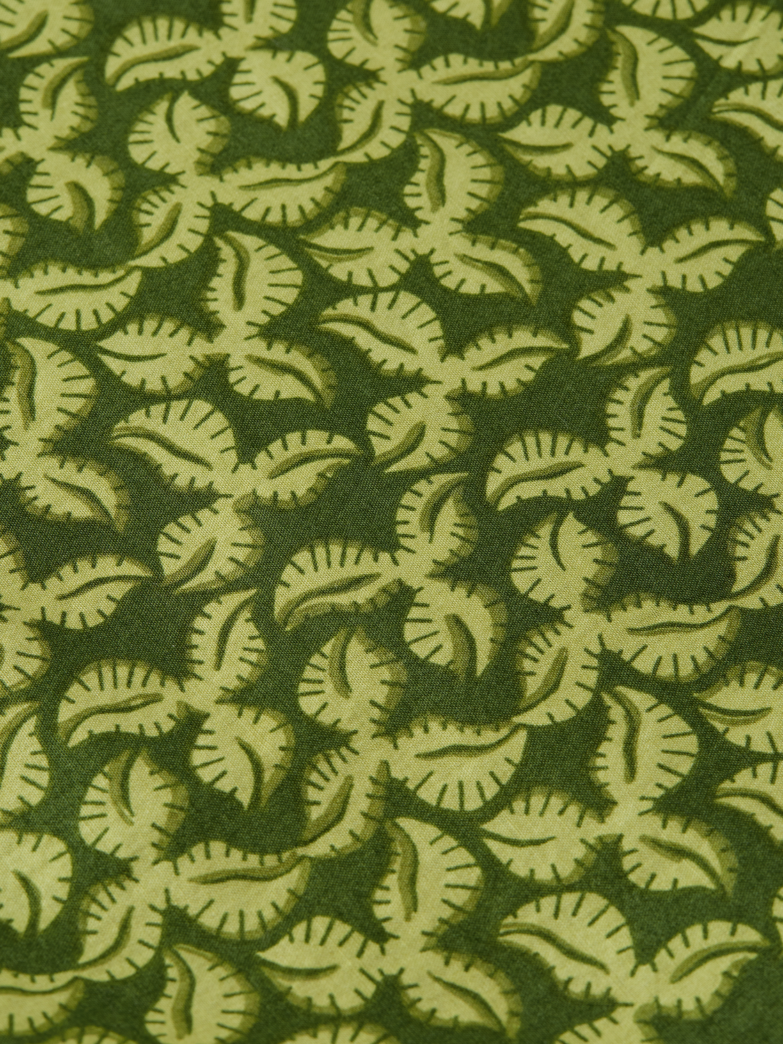 Printed cotton shorts